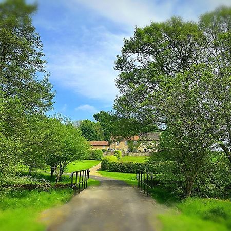 Old Orchard Cottage, Wykeham สการ์โบโรห์ ภายนอก รูปภาพ