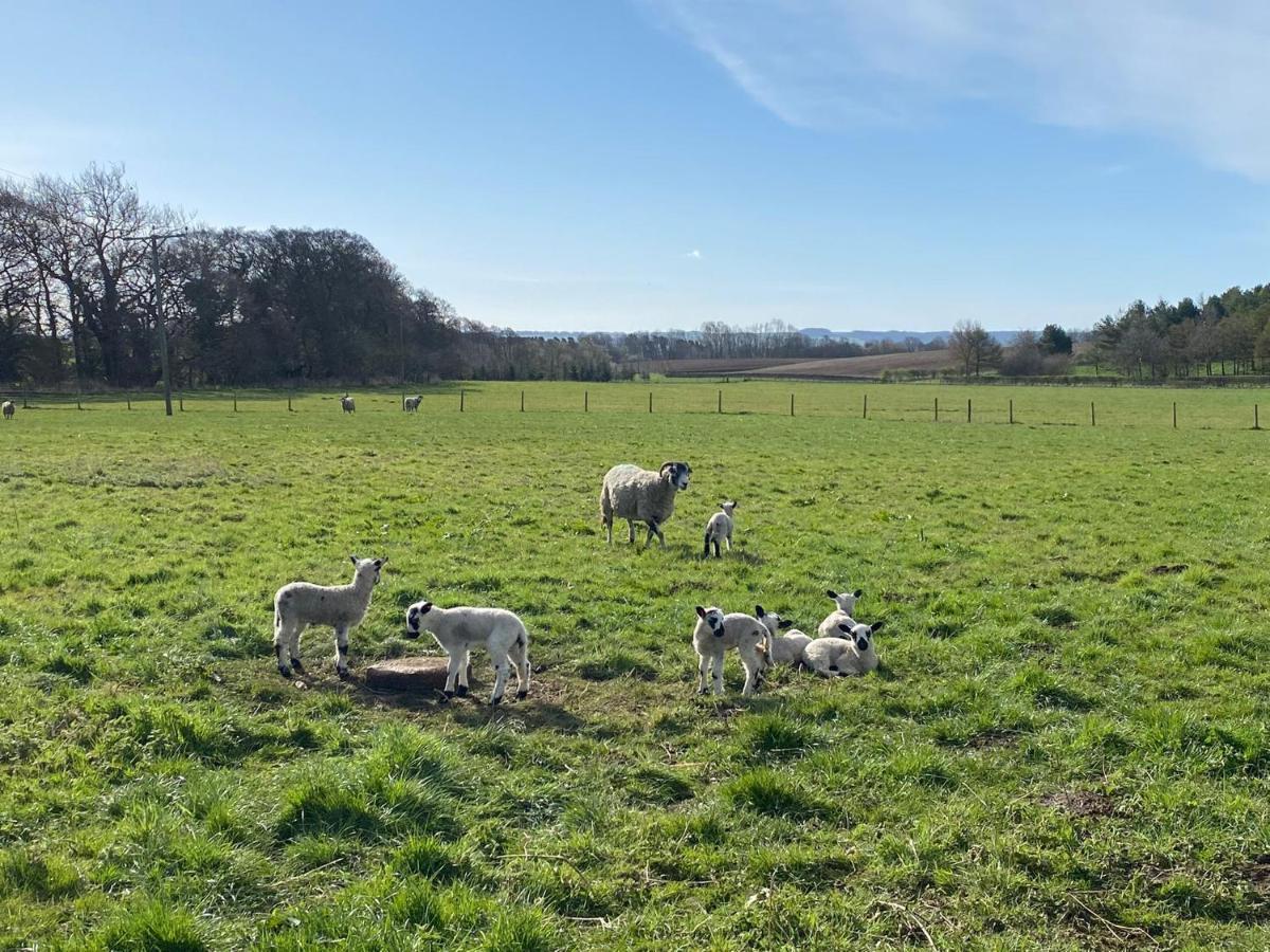 Old Orchard Cottage, Wykeham สการ์โบโรห์ ภายนอก รูปภาพ